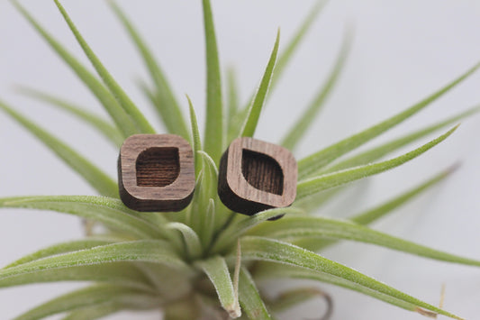 Walnut Swoop Studs