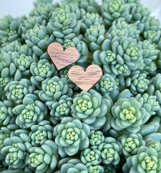 Walnut Heart Studs